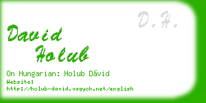 david holub business card
